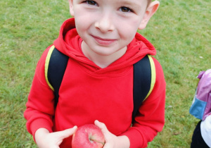 bicie rekordu w jedzeniu jabłek