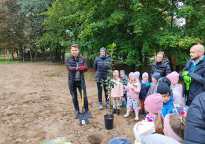 sadzenie drzewek owocowych