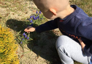 Chłopiec podziwia fioletowe kwiaty.