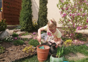 Dziewczynka sadzi kwiaty