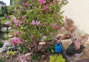 Dziewczynka podlewa swoje roślinki