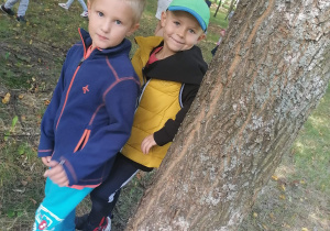 Akuku- chłopcy za drzewem