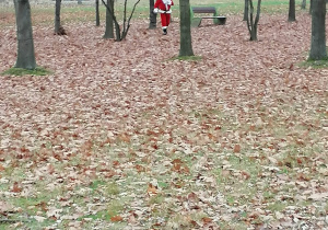 Mikołaj szukający swoich Reniferów