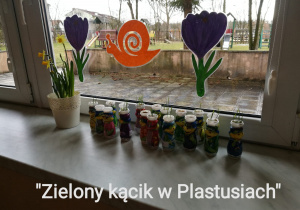 Zielony kącik Plastusiów