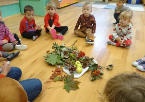 Dzieci oglądają dary jesieni