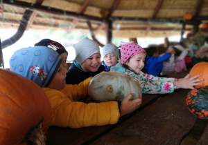 Dzieci oglądają dynie