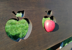 Zdjęcie dwóch jabłek