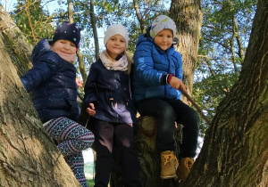 Dzieci na drzewie