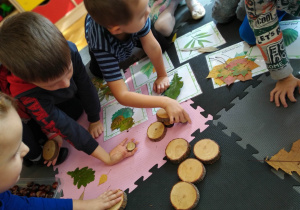 Dzieci dotykają plastry drzewa