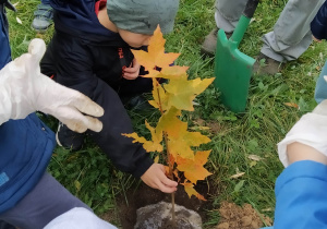 Dzieci sadzą drzewko