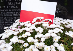 Chryzantemy z flaga Polski