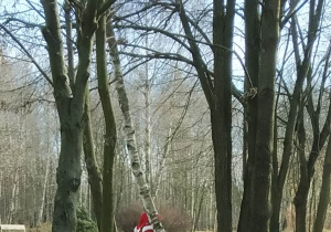 Św. Mikołaj jeździ na rowerze po lesie