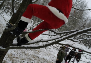 Św. Mikołaj na drzewie