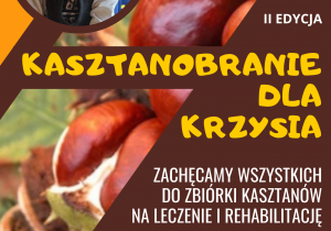 Plakat o Krzysiu