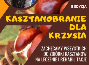 Kasztanobranie dla Krzysia