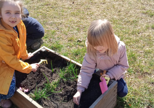 Dziewczynki przy pracy w ogródku przedszkolnym