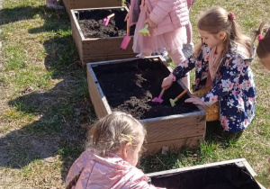 Wiosenne porządki w ogródku przedszkolnym