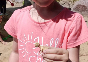 Amelka - mały paleontolog