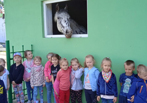dzieci obserwują konie