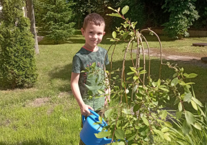 Chłopiec podlewa roślinki