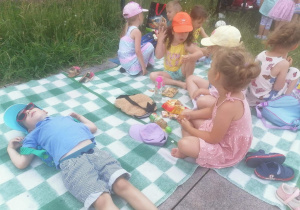 Piknik w "Pszczółkach"