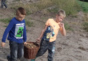 chłopcy z koszem ziemniaków