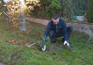 Pan Paweł pomaga nam sadzić drzewko