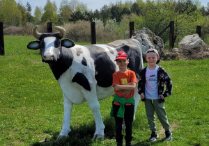 Chłopcy przy krowie