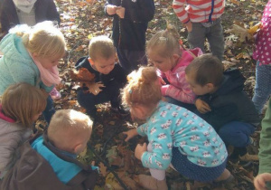 Dzieci szukają jesiennych skarbów