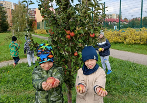 Chłopcy przy jabłoni